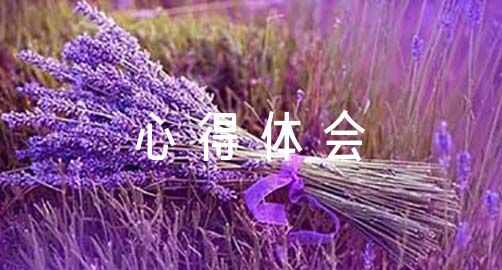 青少年篮球爱好者综合训练方案_0